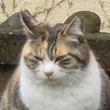 【さかてつ出版】https://t.co/SPuKyaxy8C
【BOOTHさかてつ出版】https://t.co/qyCtM7CWTr