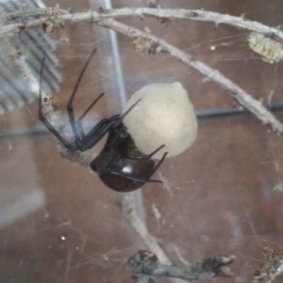 destyni_carr's profile picture. Only here to scroll, and repost what jives with my soul! DMs will be blocked