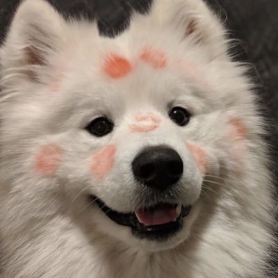 ccvvv122's profile picture. ฟอลก่อนทักนะคับ ฝากเนื้อฝากตัวด้วยคั้บ #รีวิวรีแพท @reepatyou #อัพเดตของรีแพท ฃ🫀 OPEN 24hr. 🌈✨คุยได้ มัดจำ/ผ่อน ให้ช่องทางการติดต่อเพิ่มเติมได้