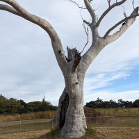 Stu (@stusheridan) 's Twitter Profile