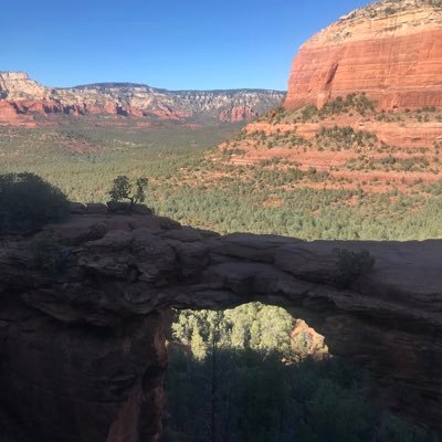 dr_dankNstein's profile picture. 