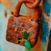मौर्य ( एक दास्तां )🚩🚩🚩🚩 (@pradeep88601624) 's Twitter Profile