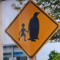 가자미 (@alienjellya24) 's Twitter Profile Photo