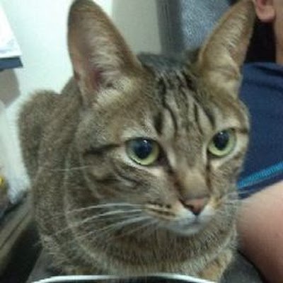 Xinerin77's profile picture. 