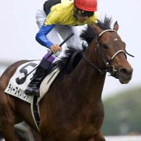 競馬白書 (@suginami0325) 's Twitter Profile