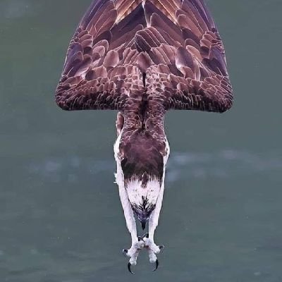 BABAIVANY's profile picture. @Bã_Væēñ