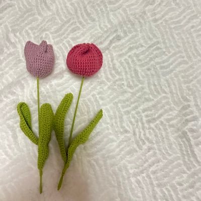 もちもちさんのプロフィール画像