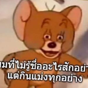 แมวน้อยสองถุงさんのプロフィール画像