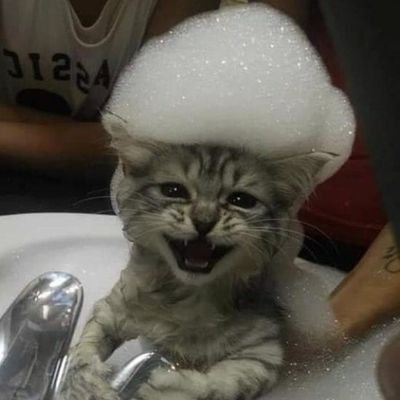 edwinasprig's profile image