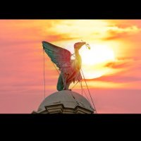 UBIQUE (@collead70) 's Twitter Profile