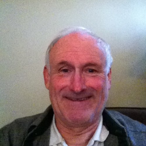 beedycat's profile picture. 