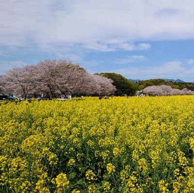 田舎の宮崎県住みです。

長距離ドライバーなので、あなたの街にもお邪魔してるかも?!

仮想通貨はSHIBメイン
nisaはオルカン、SBI日本高配当。
個別株は夢株と無難銘柄保有。