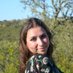 Cecilia T. Valente Art (@cecilya_art) Twitter profile photo Cecilia T. Valente Art (@cecilya_art) Twitter profile photo