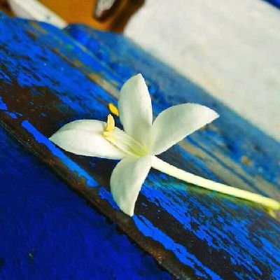 Kiran2942687375's profile picture. You can L❤️VE someone So Much, but you can Never love people as much as you can miss them.