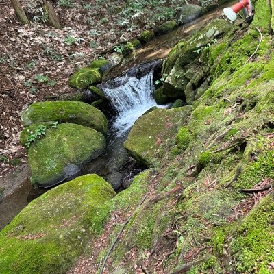 OR77812's profile picture. 