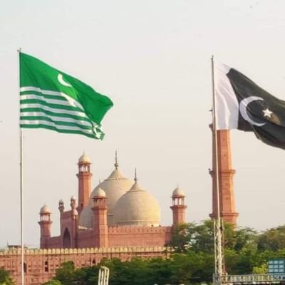 masoodbroh80831's profile picture. Student of Political Science