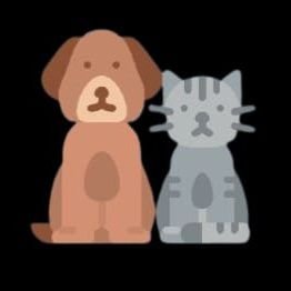 ZNNarchieve's profile picture. 