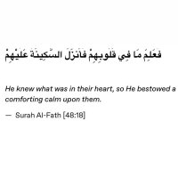 Dletedd (@soccergirl206) Twitter profile photo