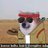 varun_to_ami's profile image