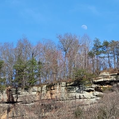 FarmKizmet's profile picture. Unapologetic conservative Christian middle aged Trump supporting proud Patriot MAGA white woman, living the life that I love with the love of my life. No DMs.