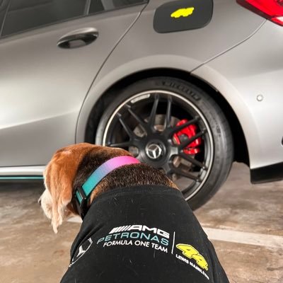 mojojojo_2014's profile picture. Singapore 🇸🇬 via San Francisco 🌁 Proud Catholics 🙏 Loving Spouses 💑and Golf ⛳️ & F1 🏁 Fanatics