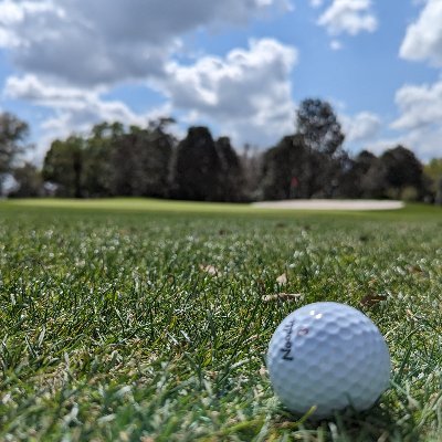 ShitboxCharlie's profile picture. I was told there would be snacks