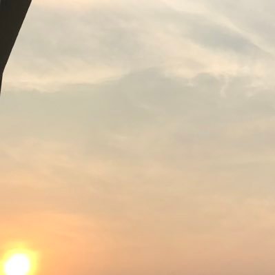 baby6_5's profile picture. Freedom on yours