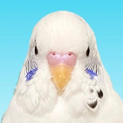 こ٩( ᐛ )وさんのプロフィール画像