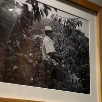 iraprap (@iraprap) 's Twitter Profile