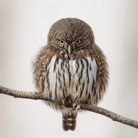 Mr. Jack Tung (@mrjacktung) 's Twitter Profile