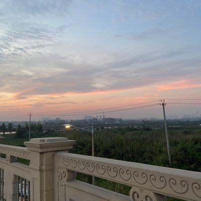 qingyan1994's profile picture. 依於仁，遊於藝，從吾所好