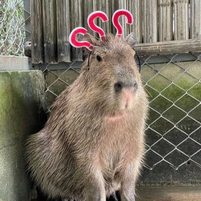 wuchun97's profile picture. ตั้งใจซื้อลอตเตอรี่ให้ถูกรางวัลที่ 1