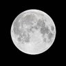 John50018225276's profile picture. #ISLM_MAXI #Metatime
CEO of Henlo