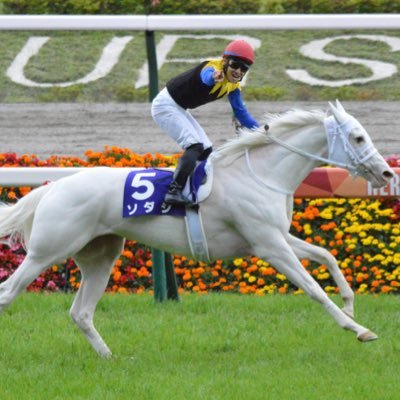 YuuFr4vlm's profile picture. サイレンススズカ🏇大谷翔平(ドジャース)⚾️ワンピース 🏴‍☠️ Mihoko💛本気すず(RiNCENT♯🤍)手塚穂奈美(ドリモン🧡)岩下美友⚡️(ハイスピ💙)猪狩彩奈(スイアレ❤️)深江有恵(スイアレ💖)月永アズ(ラスラリ💙)等々がお気に入り🤗