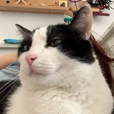 AndreiGane's profile picture. 