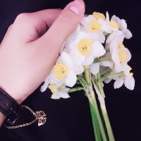 𝐅𝐚𝐭𝐞𝐦𝐞𝐡 (@fatemeh_a6) 's Twitter Profile