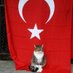 Fırat Sof (@fratsof) Twitter profile photo Fırat Sof (@fratsof) Twitter profile photo