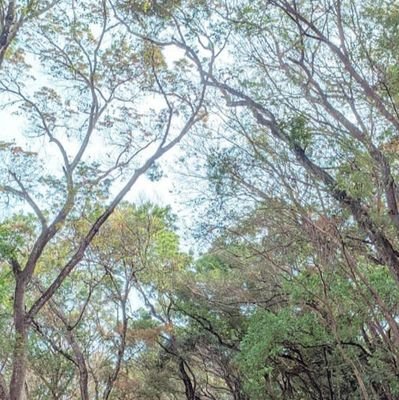 fajjars17's profile picture. 