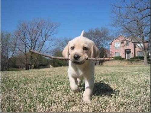 rntramos's profile picture. 