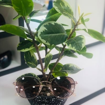 anoop45179586's profile picture. 