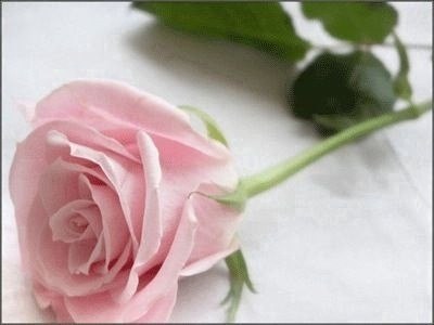 ام ... جده ...تربوية متقاعدة.اذا مررتم من هنا تذكروا والدي عبدالعزيز الشاوي رحمة الله عليه بدعوة من القلب جزاكم الله خيرا❤️❤️