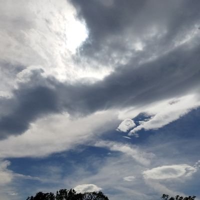 posichain666's profile picture. 桃栗三年柿八年