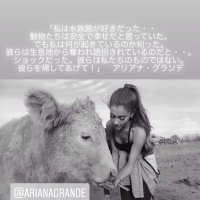 ジョンヌ🐰Vegan(@jongjonnu) 's Twitter Profile Photo