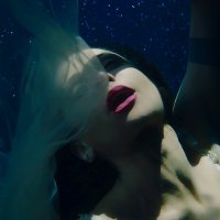 persiawhite (@realpersiawhite) 's Twitter Profile Photo persiawhite (@realpersiawhite) 's Twitter Profile Photo