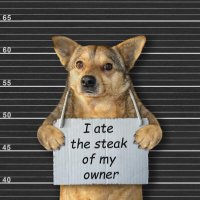 Naughty Dog (@naughty_doglove) 's Twitter Profile Photo Naughty Dog (@naughty_doglove) 's Twitter Profile Photo