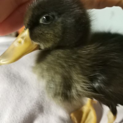 S7EmQsfVez65169's profile picture. Beijing 4i and s