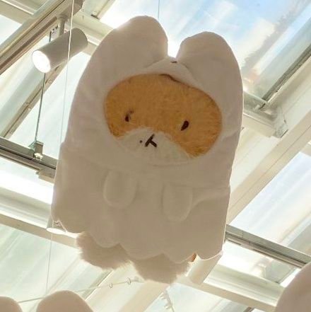 Bh_estj_56's profile picture. 백현 팬클럽 소속