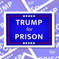 Trump for Prison 🇨🇦🇻🇪(@maria22616896) 's Twitter Profile Photo