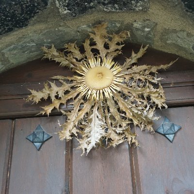 elroobel's profile picture. 