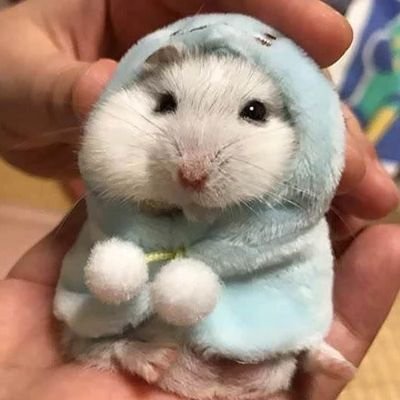 웨일さんのプロフィール画像